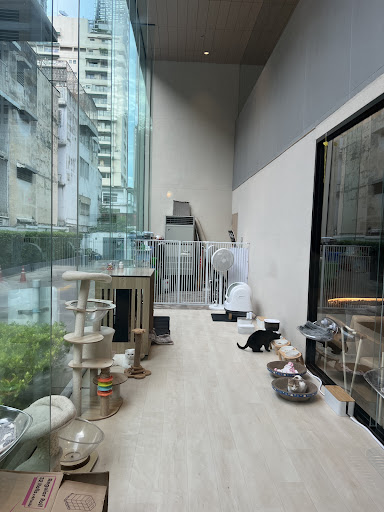 Photo from customer review