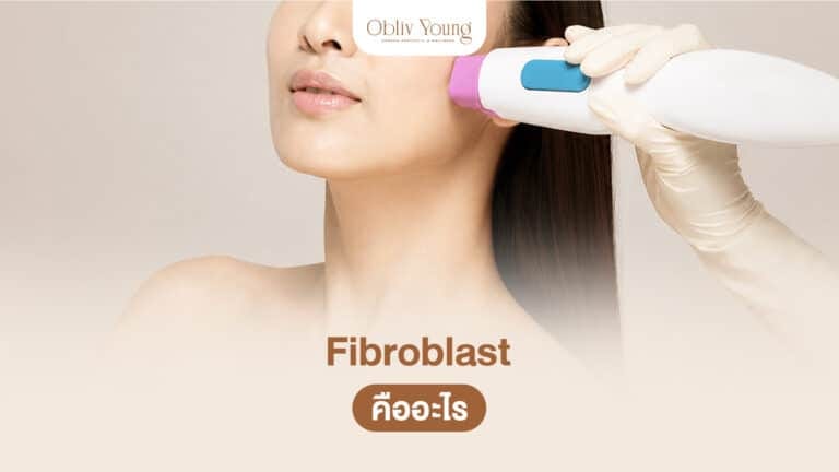 Fibroblast คืออะไร