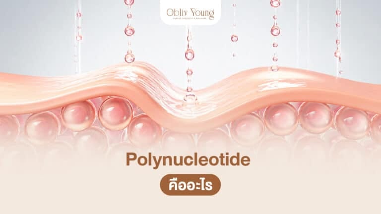 Polynucleotide คืออะไร