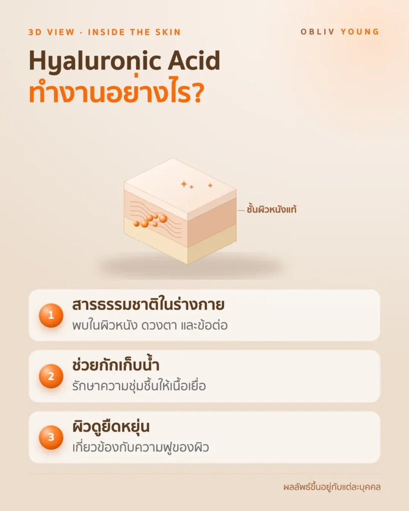 Hyaluronic Acid ช่วยกักเก็บน้ำและรักษาความชุ่มชื้นในชั้นผิวหนังแท้